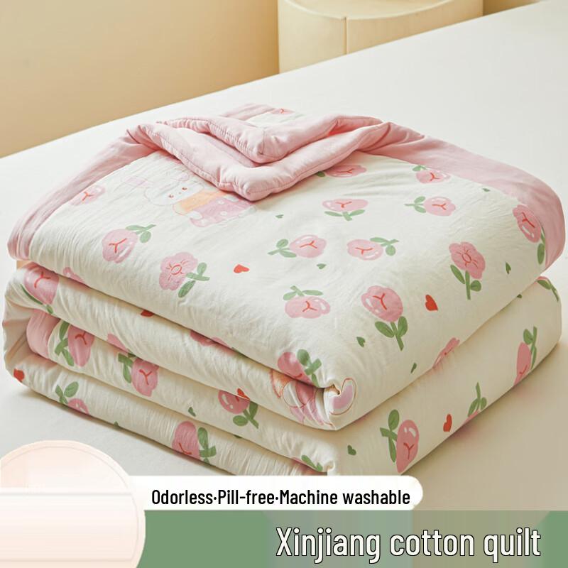 

LISM Xinjiang Cotton Summer Cooling Quilt