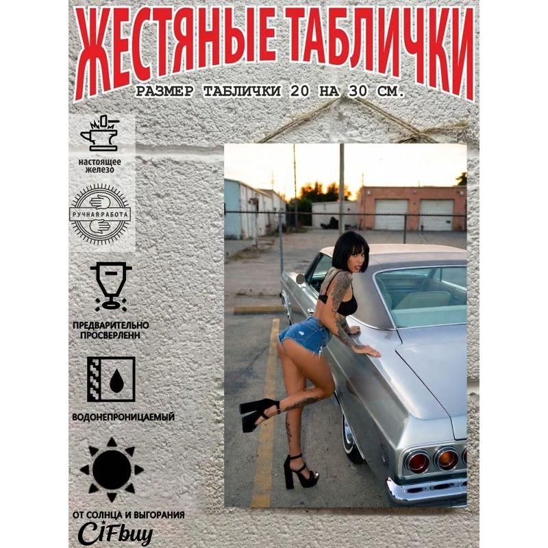 Retro Vintage Metal Sign Pin Up Girl Car Decor Wall Art