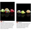Moving Vivid Landscape Simulation Fish Tank Decoration Artificial Fish Aquarium Ornament Fake Fish