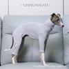 Dünner Frühlings-Bodysuit für Italienische Windhunde - Weiche, dehnbare Haustierkleidung für Whippets & Kleine Windhundrassen