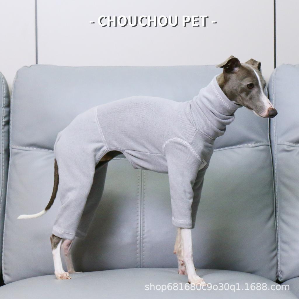 Dünner Frühlings-Bodysuit für Italienische Windhunde - Weiche, dehnbare Haustierkleidung für Whippets & Kleine Windhundrassen