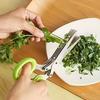 5-Layer Stainless Steel Kitchen Scissors - Versatile Onion and Vanilla Shredder for Barbecue and Indoor Use - Durable, Safe