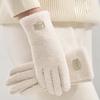Polar Fleece Winter Gloves Warm Full Finger Driving Mittens Windproof Coldproof Windproof Cold Proof Gloves Autumn and Winter