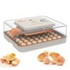 56-Egg Automatic Incubator with Precise Humidity Control, Adjustable Egg Turning, and Countdown Timer for Home Use