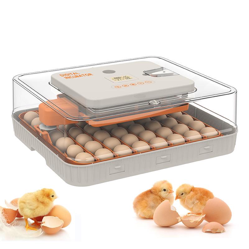 56-Egg Automatic Incubator with Precise Humidity Control, Adjustable Egg Turning, and Countdown Timer for Home Use