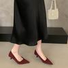 French Pointed Kitten and Black High Heels Women's 2025 New Spring and Autumn Fine Heel Suede Light Mouth Commuter Shoes