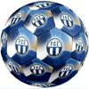 FC Zürich Taglia 5 Pallone da Calcio Standard Resistente per Allenamento e Partita per Sport all'Aperto per Adulti