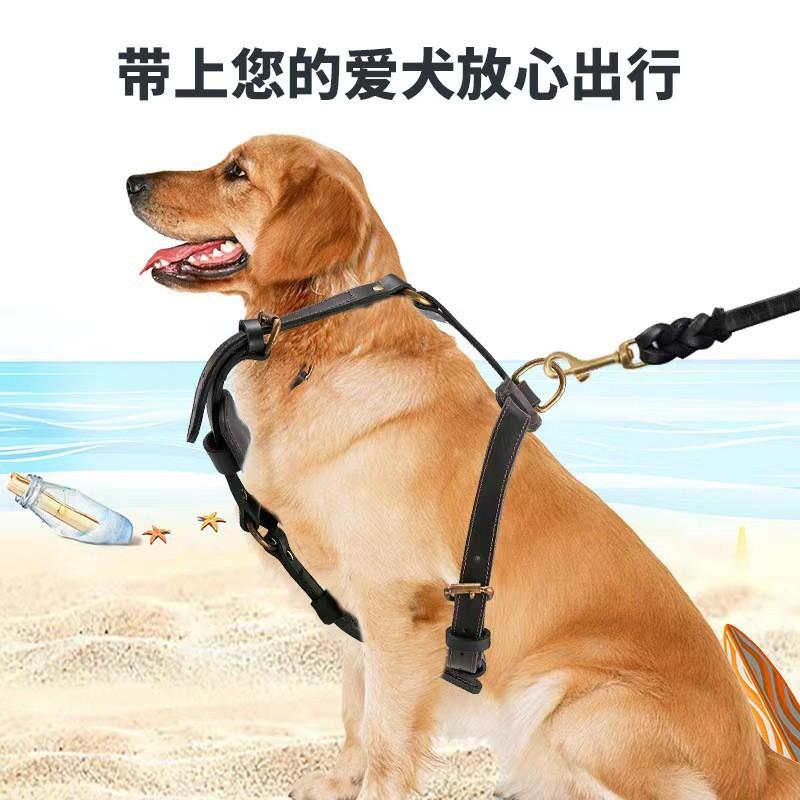 Set Pettorina Grande per Cani con Guinzaglio Retrattile Automatico Pettorina in Vera Pelle Pastore Tedesco Mastino Allenamento Quotidiano