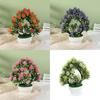 Lycopersicon Esculentum Var Potted Plant Artificial Decor For Wedding And Home Decoration