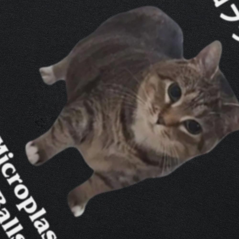 I Have Microplastics In My Balls T-shirt Cat Meme Japanese Style Y2k T Shirt 100% Cotton Soft Unisex Casual Tee Tops