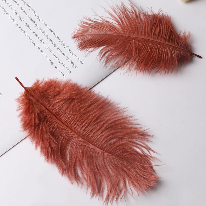 Large 15-20cm Ostrich Feathers for Wedding Arrangements and Stage Props
