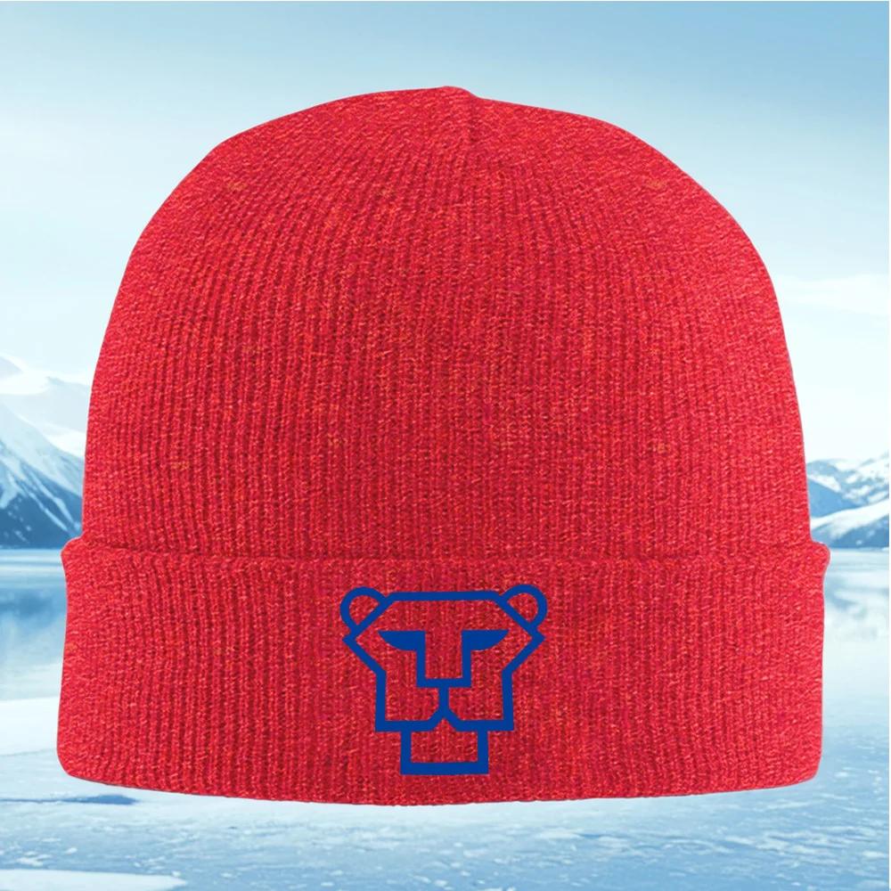 Geometric Lion Face Graphic Design Unisex Women Unisex Knitted Hat Beanie Pullover Cap Winter Thermal Warm Christmas Outdoor Cyclin