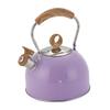Whistling Stovetop Kettle Stainless Steel Tea Pot Heat Resistant Handle for Electric and Induction Stoves