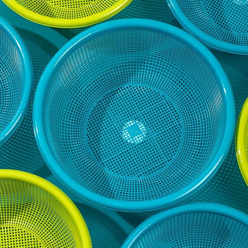 Kamelie Verdickter Abtropfkorb