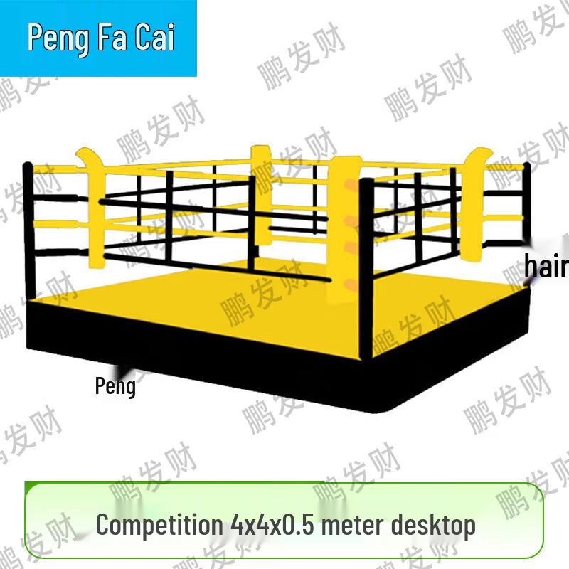 Professional Boxing and SanDa Competition Ring