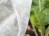 Spring agrotextile white 17g 1.6m x 5m