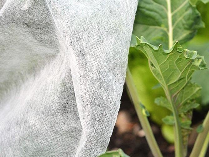Spring agrotextile white 17g 1.6m x 5m