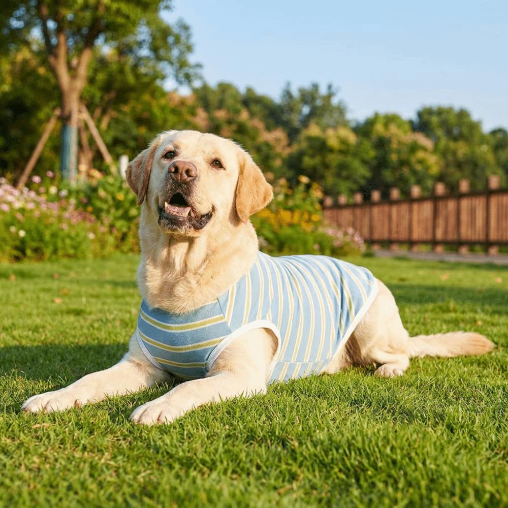 Soft Dog Cooling Vest Round Neck Dog Sunscreen Vest Fashion Pet Striped T-Shirt Home Clothes