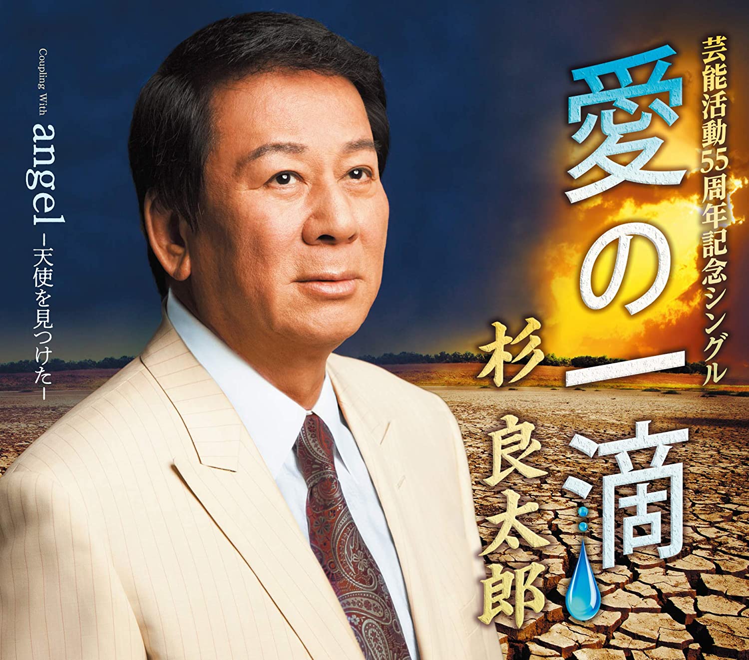 

CD RYOTARO SUGI - Ai no ichi teki TECA13907 Japan ObiJapanese Enka Used