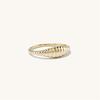 eManco Gold-Plated Stainless Steel Couple Ring