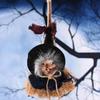 Halloween Broom Witch Decoration Creepy Day Festival Decoration For Bar Haunted House Party Desktop Witch Ornament Home Decor Supplies