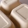 Degradable Sugarcane Pulp 4-Compartment Takeaway Meal Box with Lid