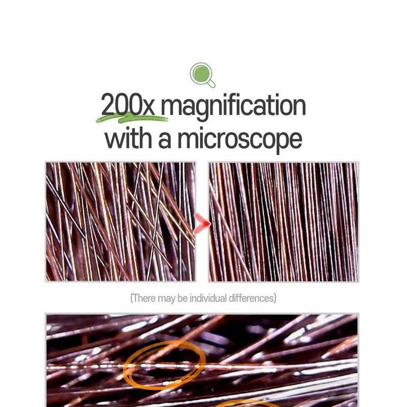 Elizavecca - Cer-100 Collagen Coating Hair A+ Muscle Essence