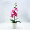 Artificial Plastic Phalaenopsis Flower Bonsai For Event Decoration Home Styling