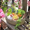 Practical Plant Pot Attractive Drain Hole Design Create Vitality