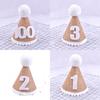 Childrens Birthday Party Decor Baby Milestone Hat With Number 2 For 2nd Year Celebration