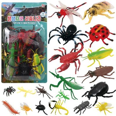 Oz Toy Vivid Nature דמות ארץ חרקים, 1 סט, צעצועים פופולריים בקוריאה