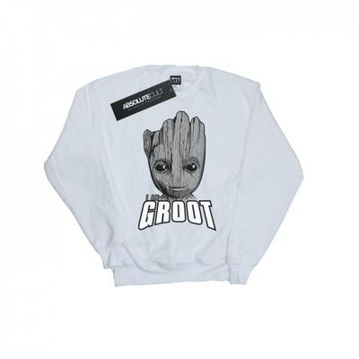 Boys Guardians Of The Galaxy Groot Face Sweatshirt