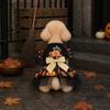 Halloween Pet Wizard Skirt Costume Pumpkin Festival Cosplay Outfit for Small Medium Dog Puppy Party Dress Up Pet Clothes