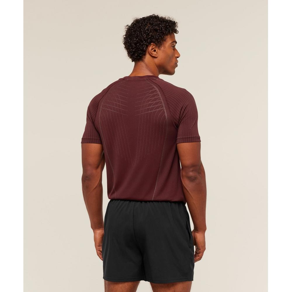 Gymshark Apex Seamless T shirT Rich Maroon chesTnuT Pink A2b3s rb7T