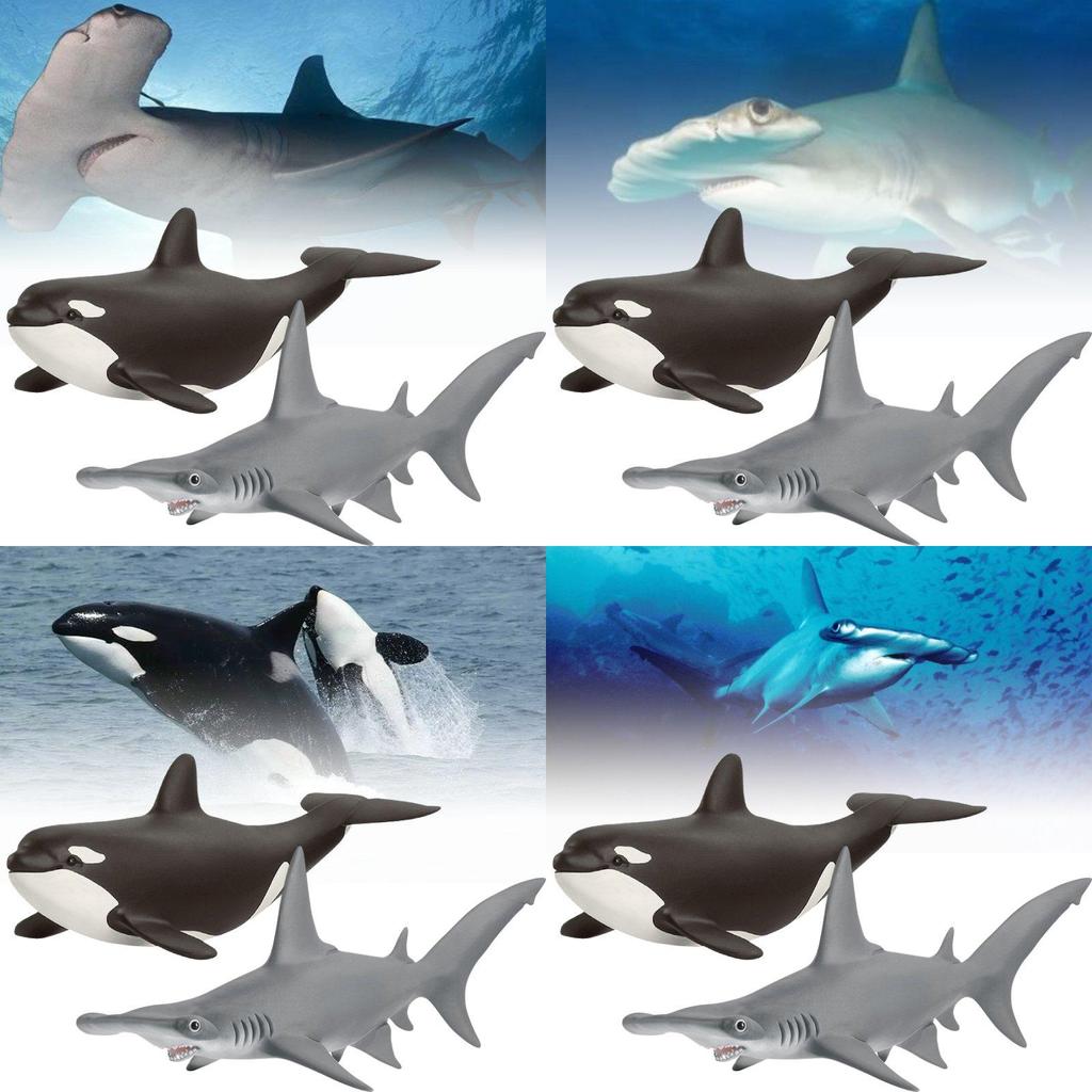 Realistic Sea Life Pvc Model Collection Including Whales Dolphins Sharks And Sea Lions