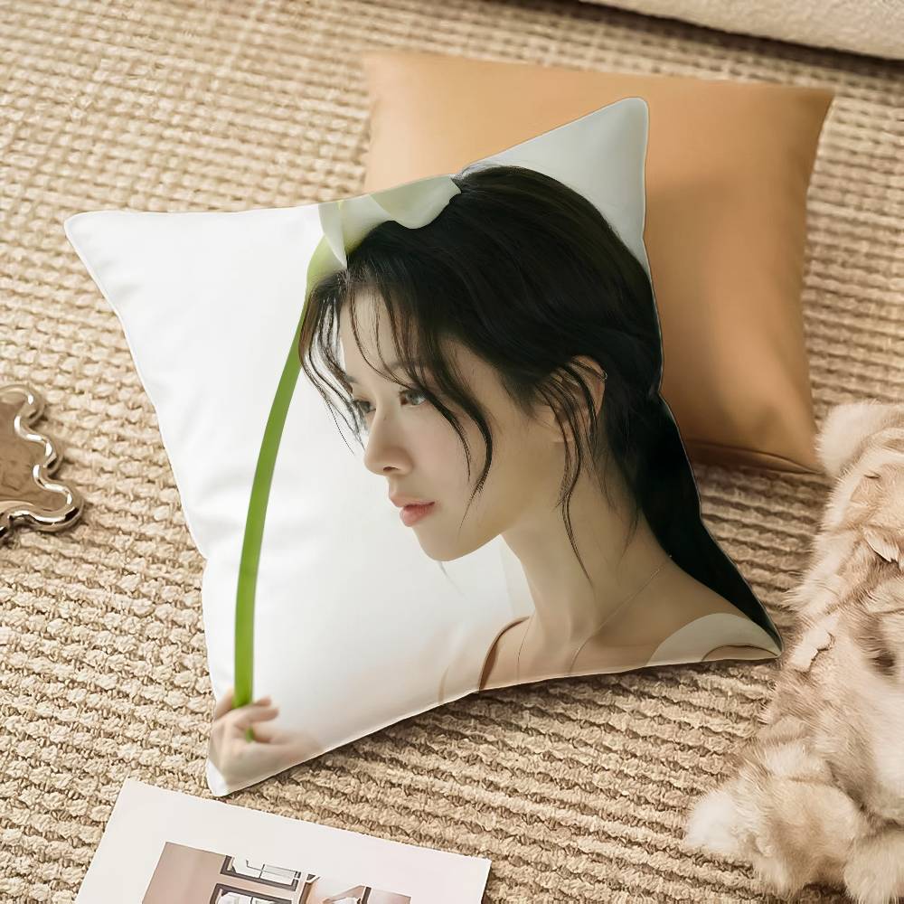 R-roh Jung Eui-es Pillow Case Anti-dustmite Invisible zipper Sofa Bed