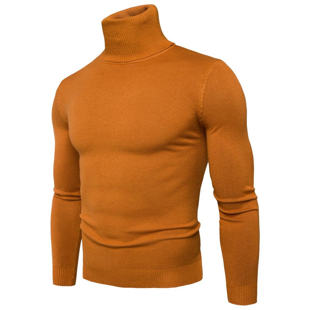 Sheath Slim Fit Men Sweater Knitted Pullovers Turtleneck Jumpers Solid Long Sleeve Slim Fit Basics Casual Standard Wool