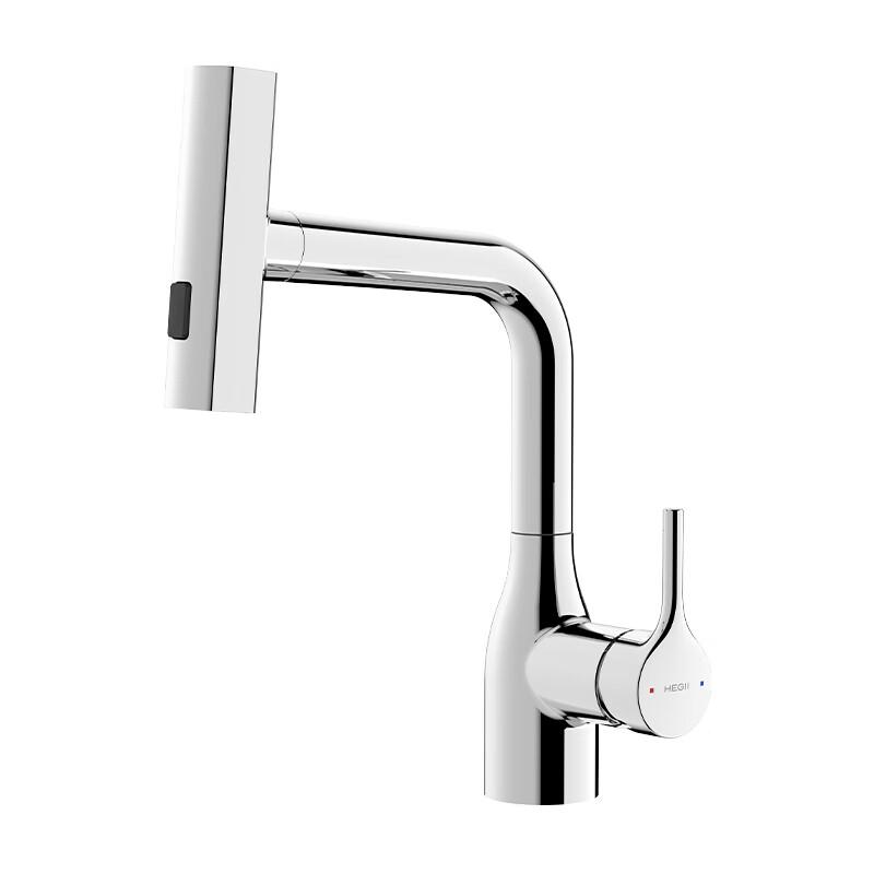 HEGII Pull-Out Basin Faucet HMF172-115