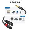 Muchfox 3.5mm to XLR Conversion Cable 2M Stereo to Dual XLR Female Microphone Audio Cable