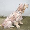 TPU Dog Raincoat Large Dog Reflective Outdoor Golden Retriever Clothing Dog Raincoat Pet Supplies