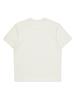 BBC EARTH Dolphin Short Sleeve Round_White