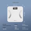 SENSUN Smart Body Fat Scale (CN version)