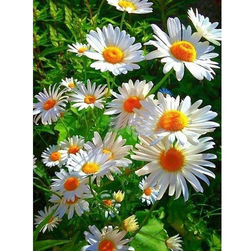 5D Diamond Painting Flower Cross Stitch Rhinestone Mosaic Floral Diamond Embroidery Diamond Mosaic Home Decoration