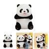 Cute Panda Plush Toy New Arrival Perfect Gift For Girls Soft And Cuddly 25cm Height