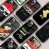 Nation Iraq Flag Magnetic Phone Case For APPLE iPhone 17 Air 16 14 13 12 Pro Max 15 Plus Wireless Charge With MagSafe Cover