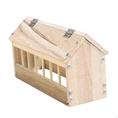 Pigeon Feeder Trough Bird Dispenser Dish Chicken for Pigeons