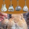 Hair Container Rabbit Hair Collector Transparent Rabbit Hair Storage Box  Jewelry Gifts
