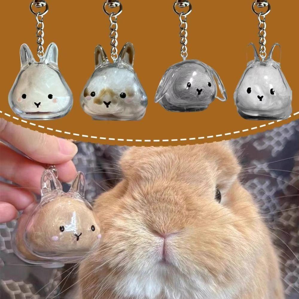 Hair Container Rabbit Hair Collector Transparent Rabbit Hair Storage Box  Jewelry Gifts