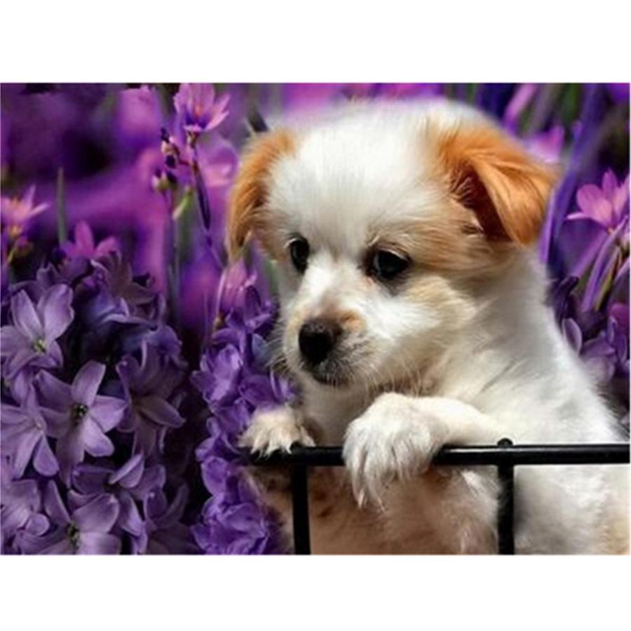 5D DIY Diamond Painting Kit Cute Dog Pictures of Rhinestones Diamond Embroidery Paul Mosaic Animal Home Decor