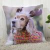 Spaniel Animal Pillowcase  Modern Home Living Room Decoration